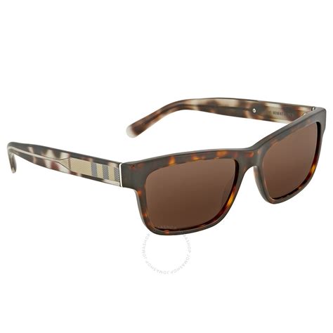 burberry dark havana sunglasses